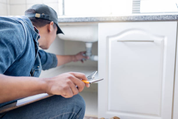 Best Plumbing Services Near Me  in Ramsey, MN
