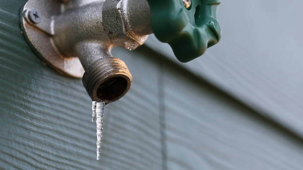 Best Commercial Plumbing Services  in Ramsey, MN